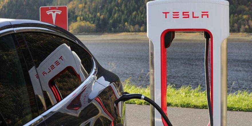 Tesla, Almanya'da Kuracağı Fabrika İçin 92 Hektarlık Ormanı Yok Edecek