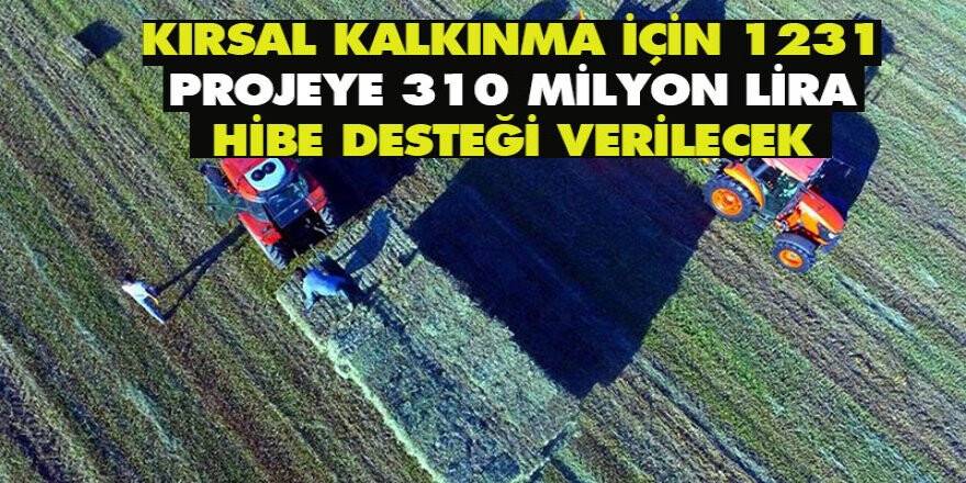 Kırsal kalkınma için 1231 projeye 310 milyon lira hibe desteği verilecek