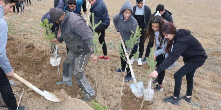 Kulu'da Bin Çam Fidanı Toprakla Buluşturuldu
