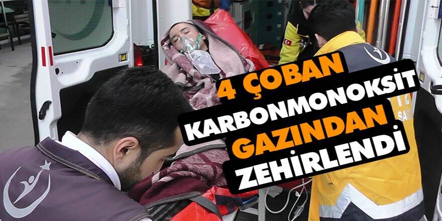 4 çoban karbonmonoksit gazından zehirlendi