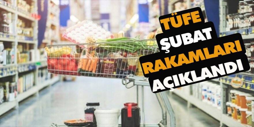 TÜFE ŞUBAT RAKAMLARI AÇIKLANDI