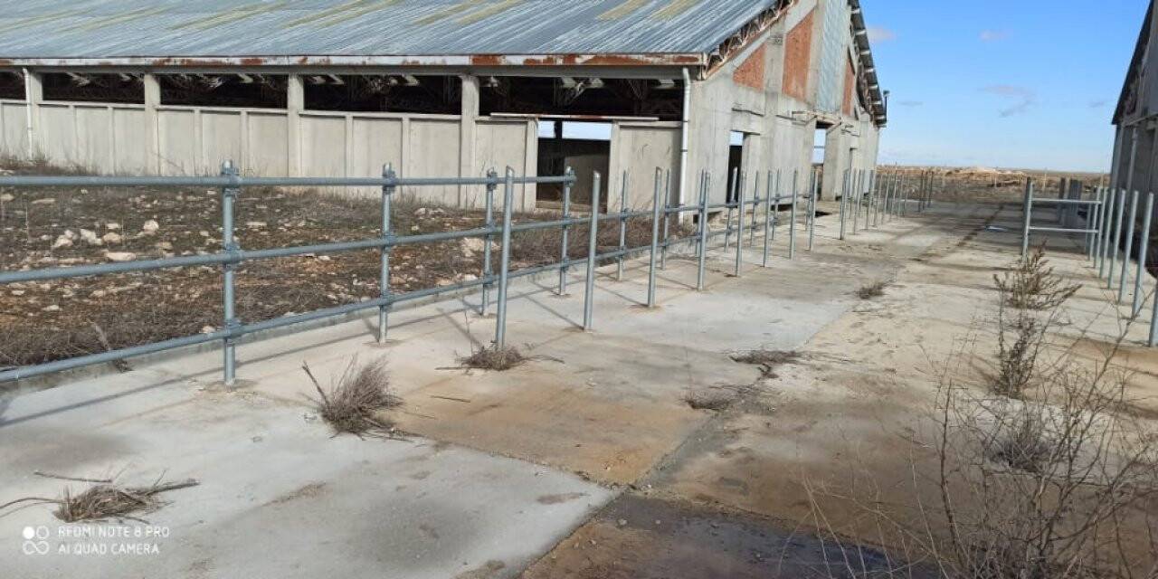 Konya'da Süt Sığırcılığı Tesisinden Hırsızlığa 3 Tutuklama