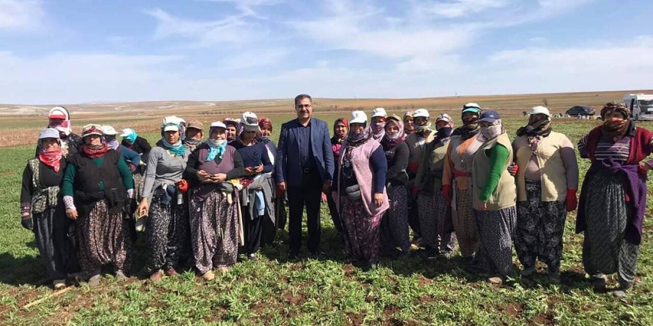 Başkan Ertaş, Çapa Yapan Kadınları Tarlada Ziyaret Etti