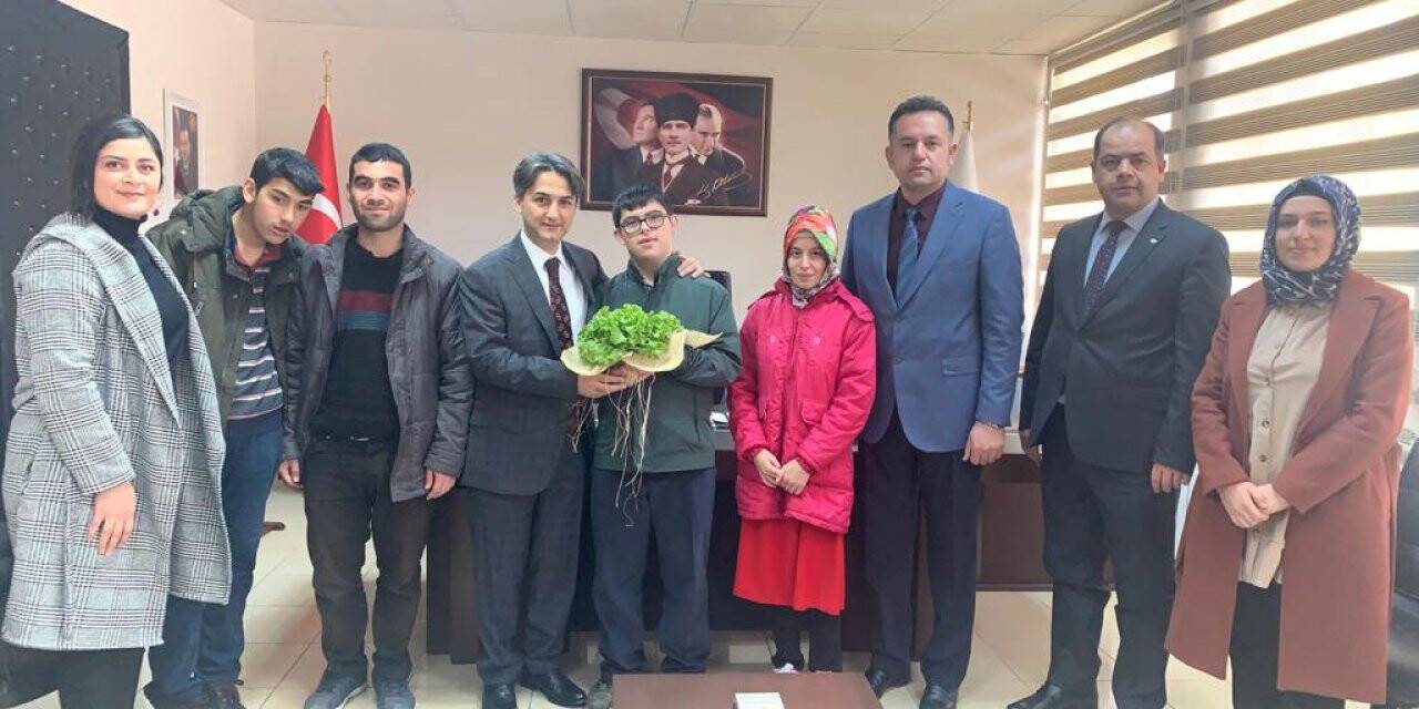 Kop Mesleki Gelişim Atölyesi Projesinde İlk Marul Hasadı Yapıldı