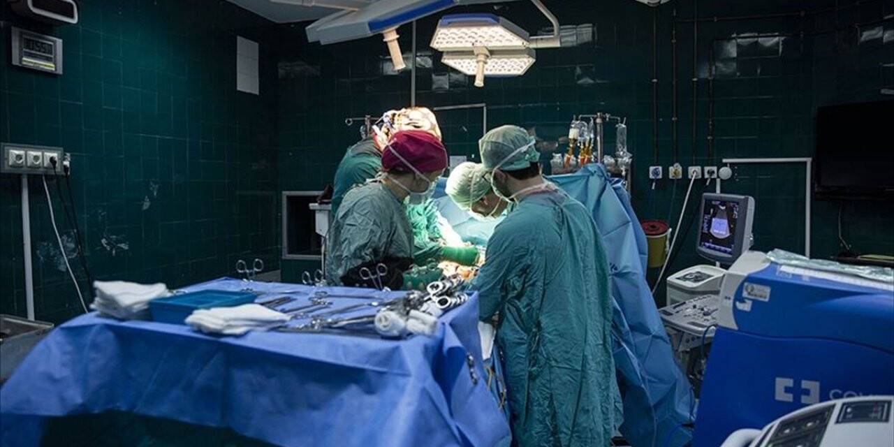 Bu Yılın Başından İtibaren 641 Kişi Böbrek Nakliyle Hayata Tutundu