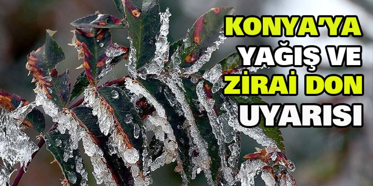 Konya'ya yağış ve zirai don uyarısı