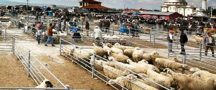 Canlı Hayvan Pazarı  geçici olarak kapatıldı