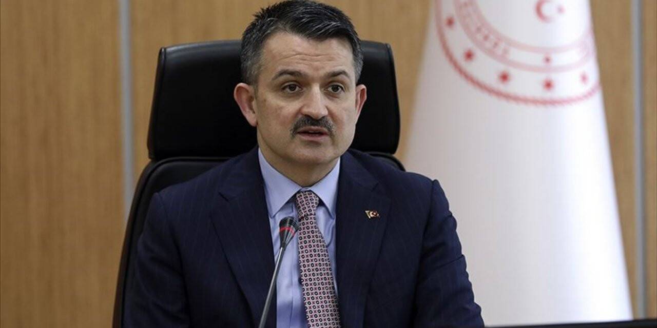 Tarım Ve Orman Bakanı Pakdemirli: Ülke Çapında Tüm At Yarışları Geçici Olarak Ertelenmiştir