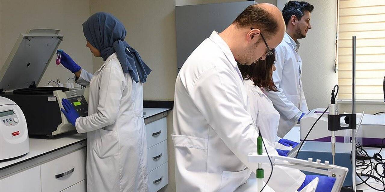Türk Bilim İnsanlarından Kansızlık İlacında Dışa Bağımlılığın Azaltmasında Önemli Proje