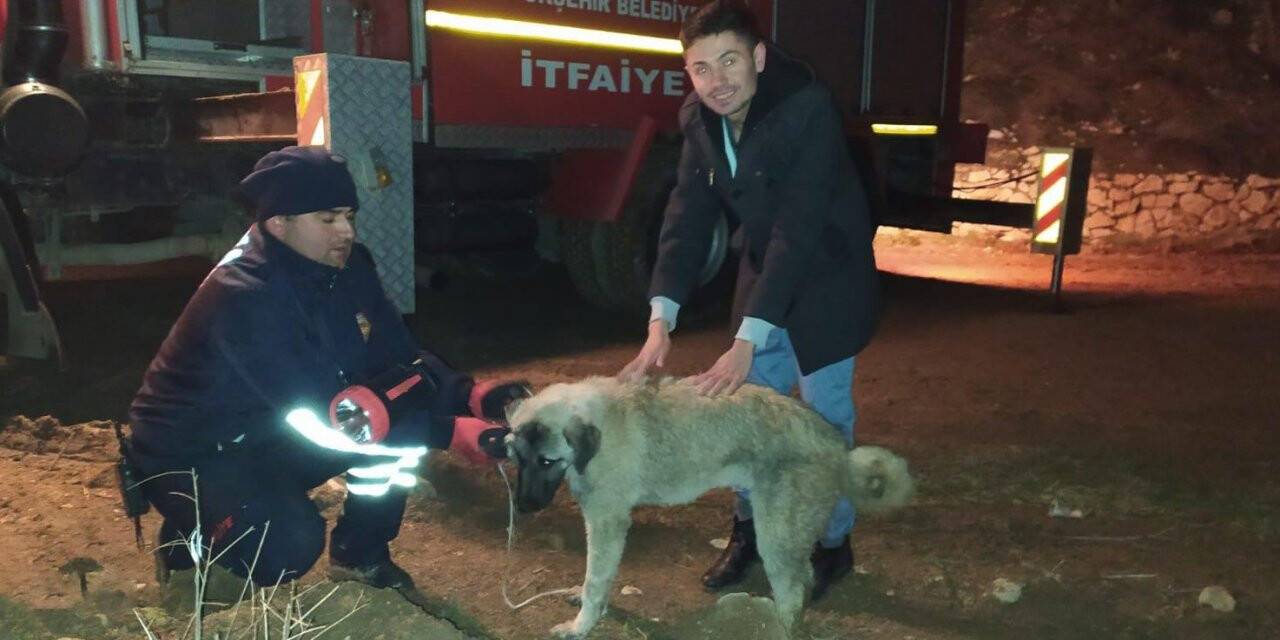 Konya’da köpek kurtarma operasyonu