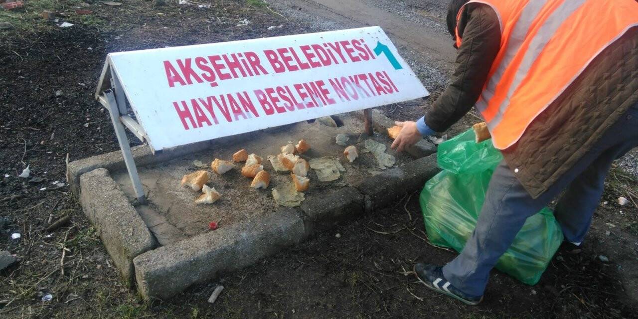 Sokak hayvanları unutulmuyor