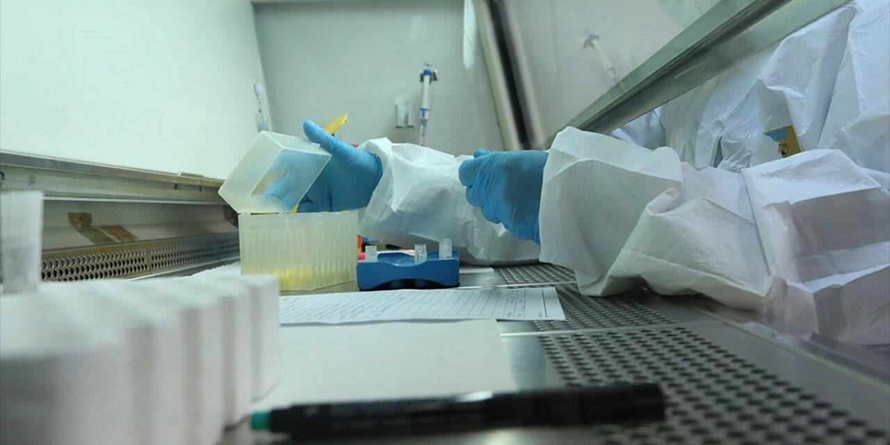 Ege Üniversitesi Kovid-19 Pcr Testi İçin Yetkilendirildi