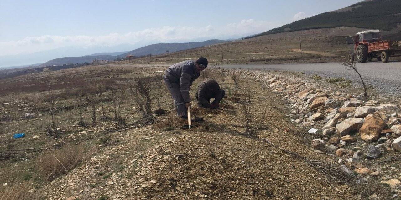 Bahar dönemi çalışmaları hız kazandı