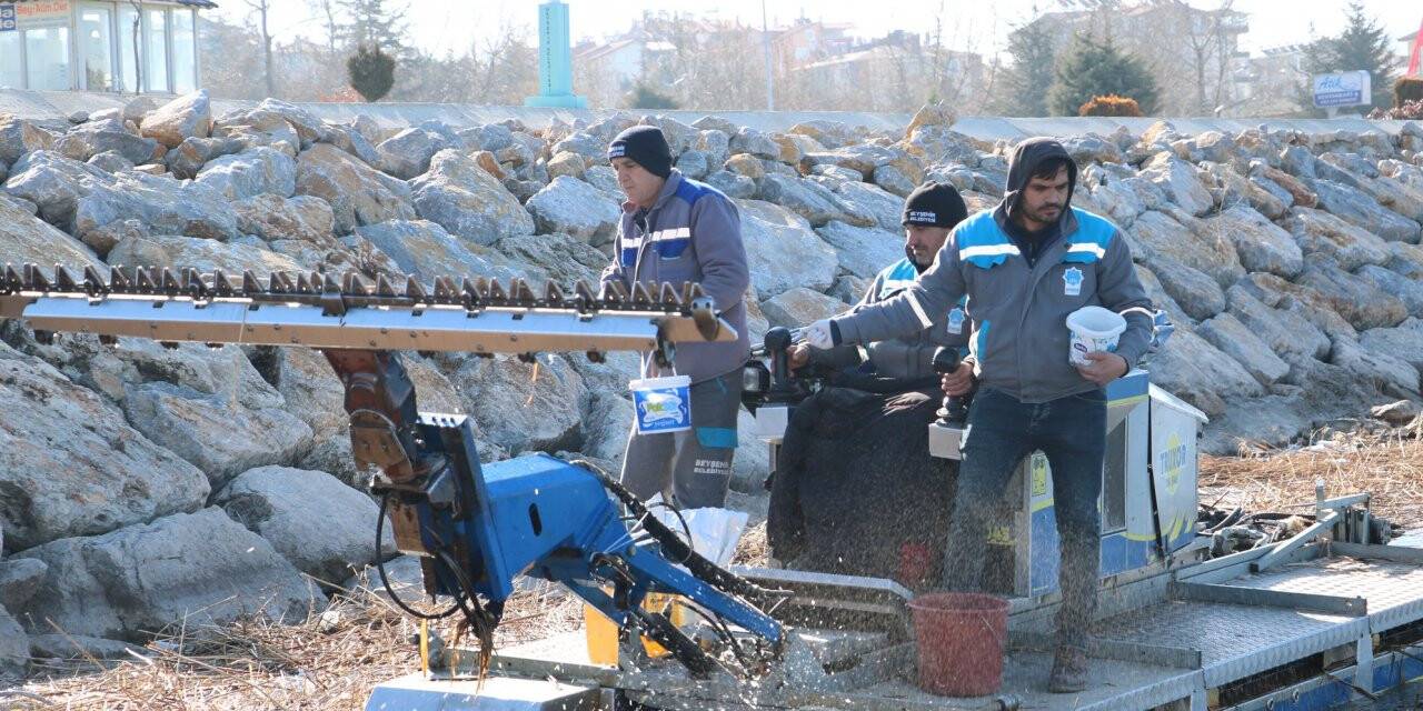 Beyşehir'de Sinek Ve Haşere Mücadelesi Hız Kazandı