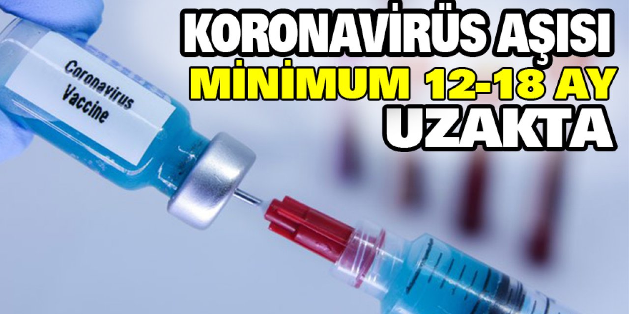 Koronavirüs aşısı minimum 12-18 ay uzakta