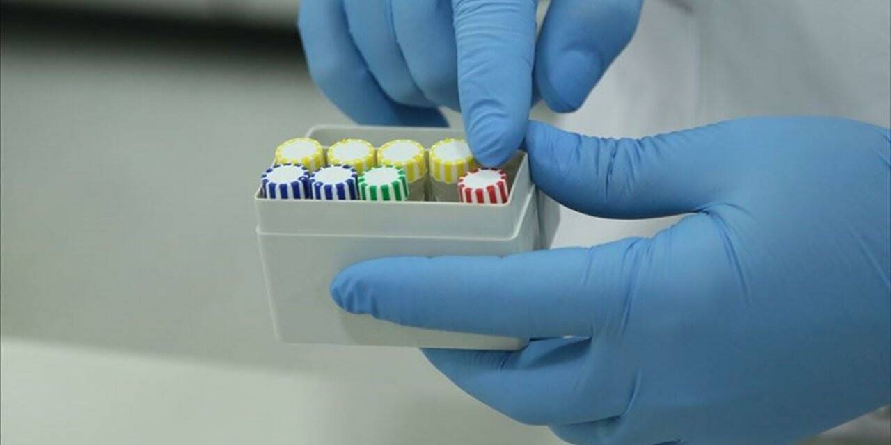 ABD’de 5 Dakikada Sonuç Veren 'koronavirüs Test Kiti' Geliştirildi