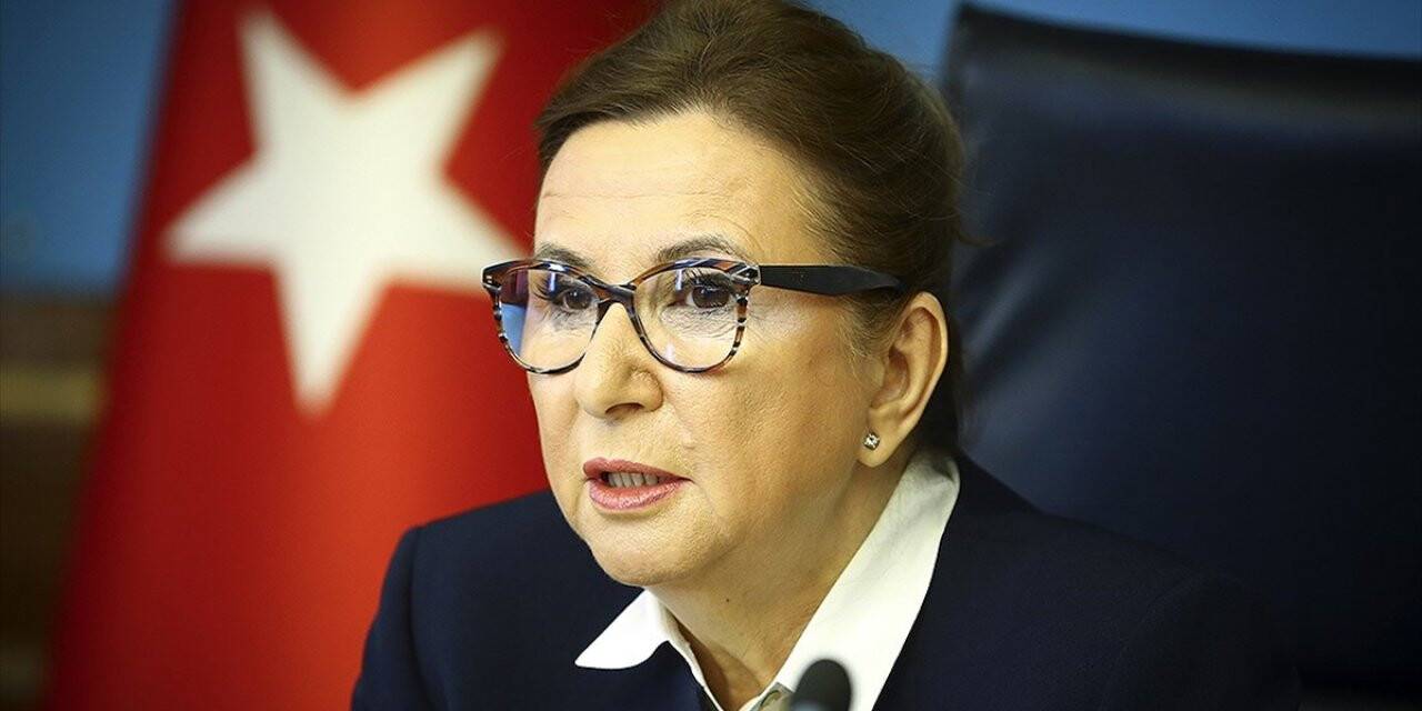 Ticaret Bakanı Pekcan'dan Evdeki Vatandaşlara 'sanal Ticaret Akademisi' Daveti
