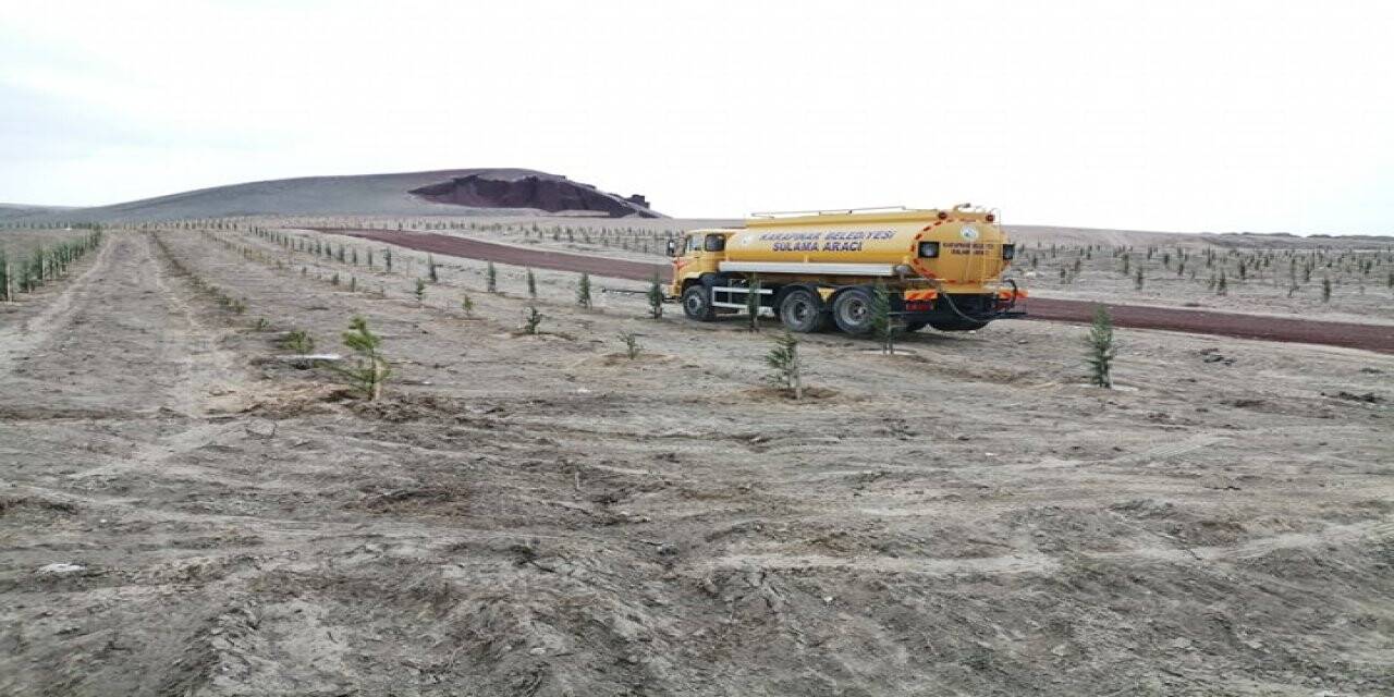 Karapınar Belediyesi Yeni Diklilen Fidanları Suluyor