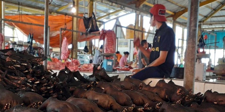 Çin’de vahşi hayvan pazarları yeniden açıldı