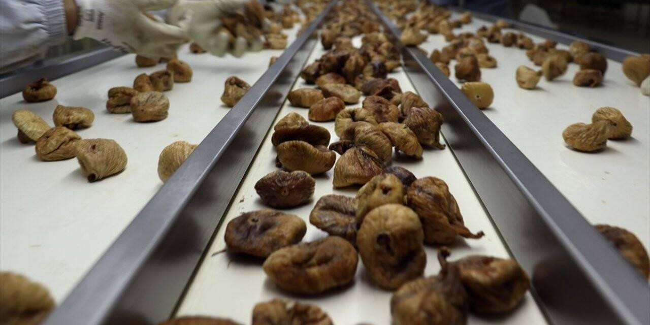 Türkiye'nin Kuru Meyve İhracatı 700 Milyon Doları Aştı