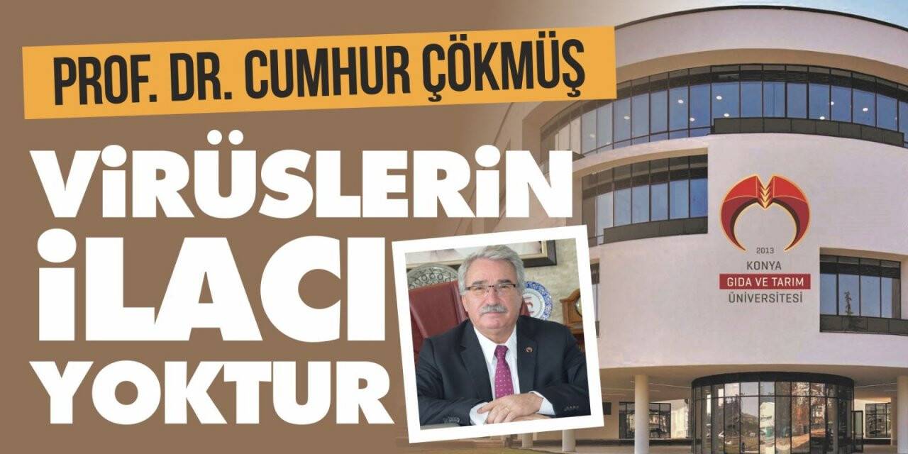 ‘VİRÜSLERİN İLACI YOKTUR’