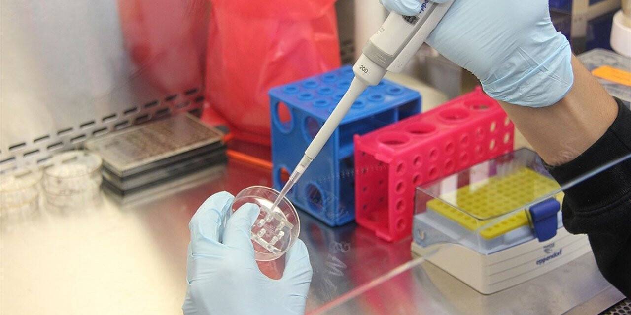 Kovid-19 Tanısında En Güvenilir Sonucu Pcr Testi Veriyor