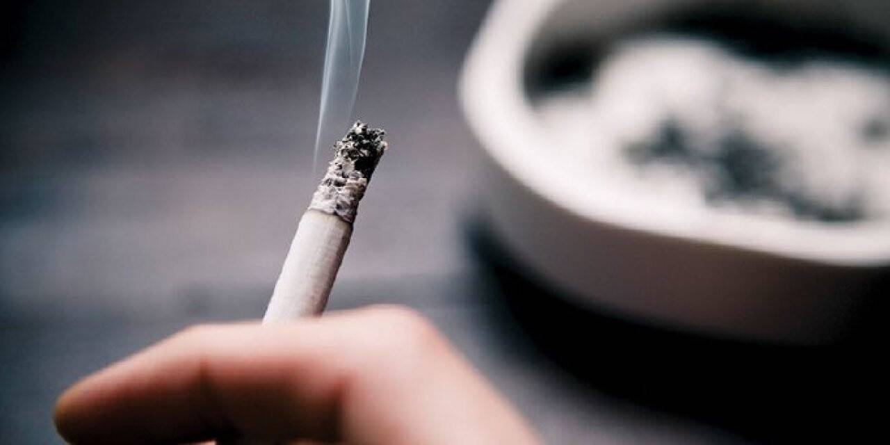 Aşı bulma yarışlarına tütün şirketleri de girdi