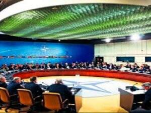 Tatarlar, Türkiye'nin Tepkisinden Memnun