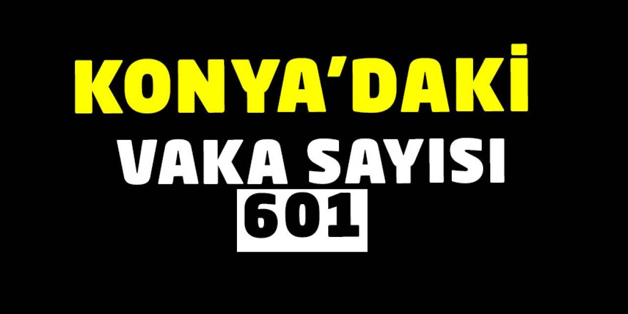 Konya'daki vaka sayısı 601