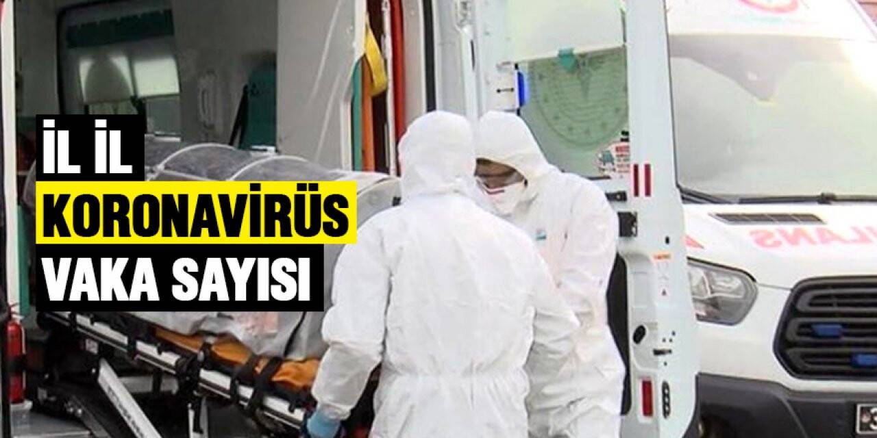Türkiye'de il il Koronavirüs vaka sayıları