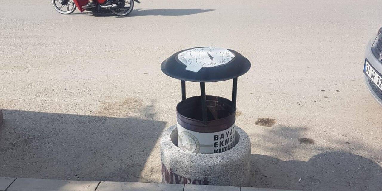 Sokak hayvanları için çağrı