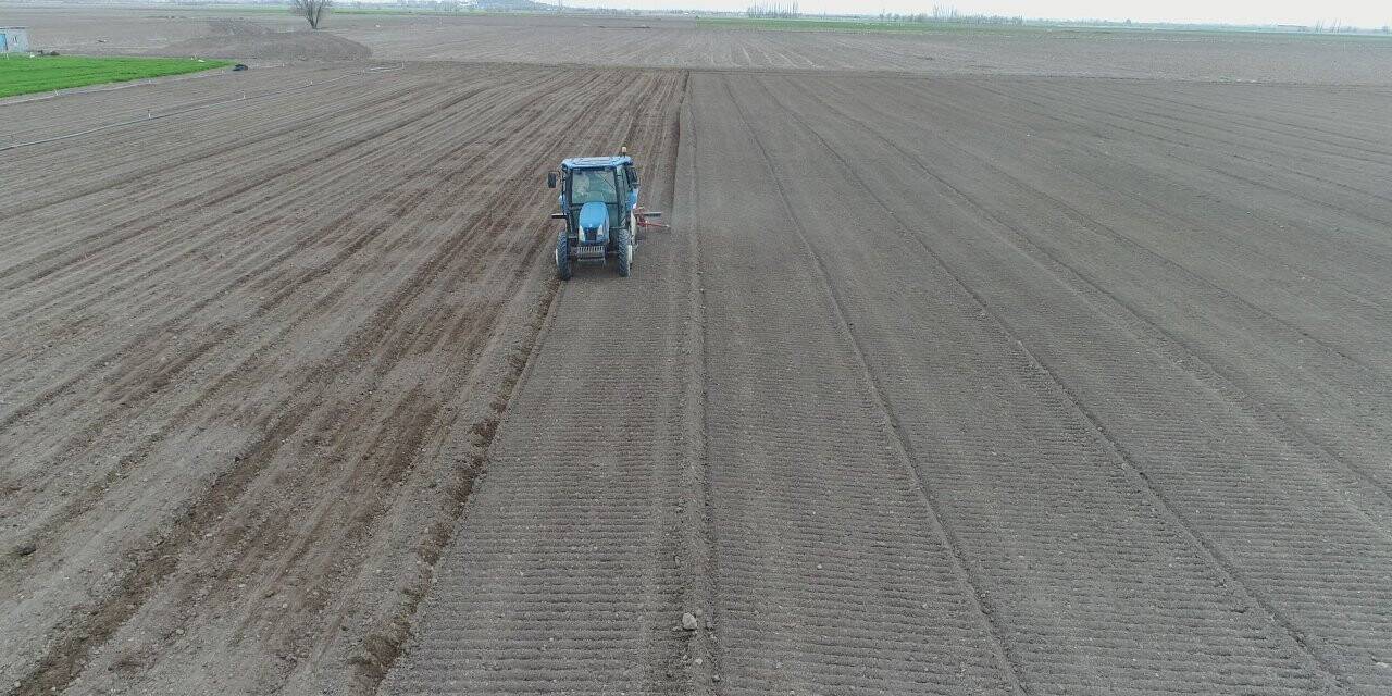 Çiftçiler tarlada havuç ekimi mesaisine başladı