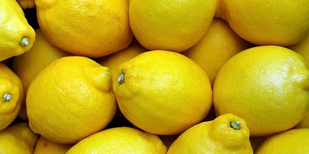 Limon Fiyatlarına İhracat Ayarı