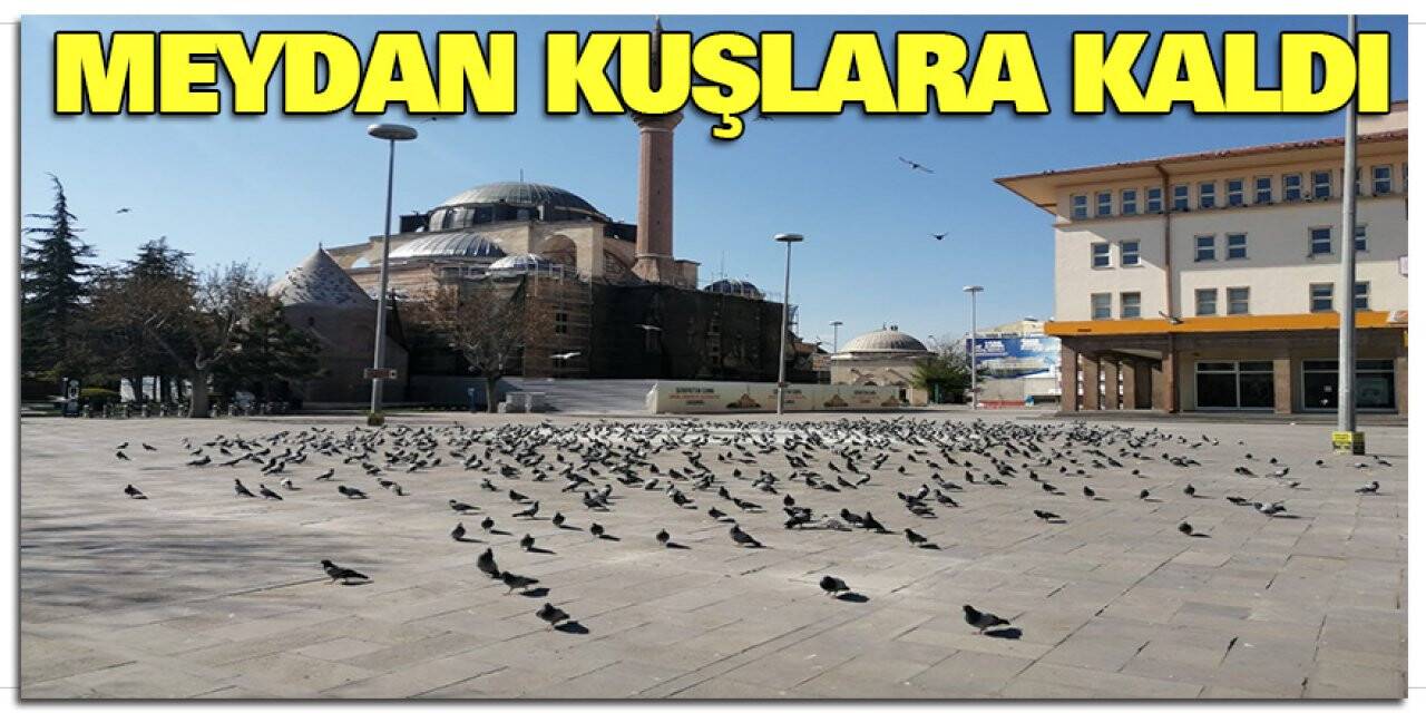 Meydan Kuşlara Kaldı