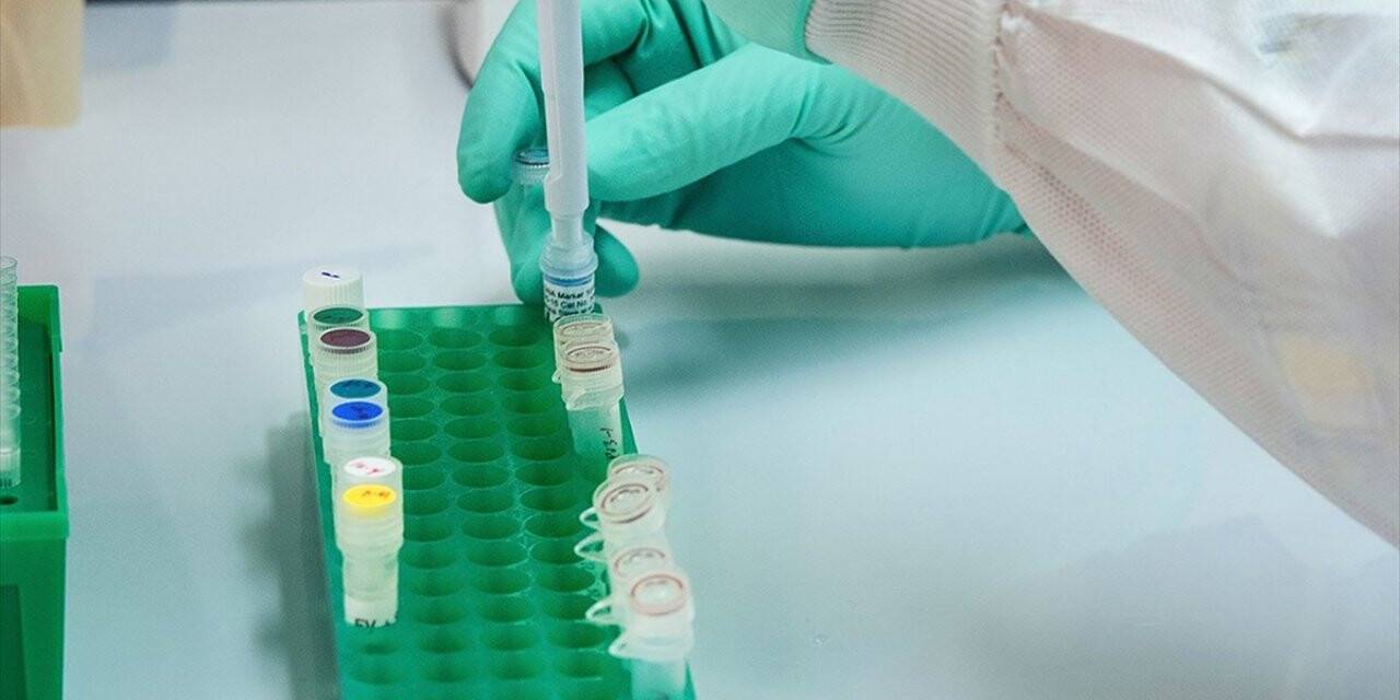 Türk Bilim İnsanları Kovid-19'a Karşı Başvurulan Sıtma İlacı 'kloroki'"i Sentezledi