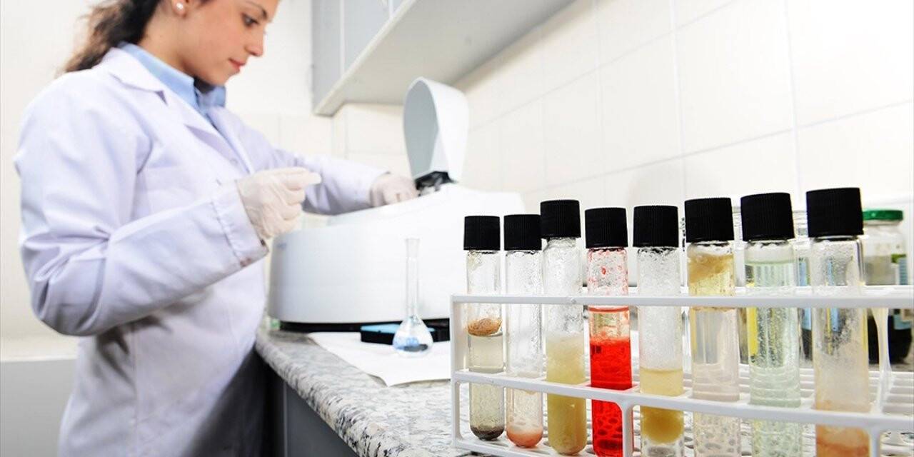 Ege Üniversitesi 'immün Plazma' Yöntemiyle Kovid-19 Tedavisine Hazır