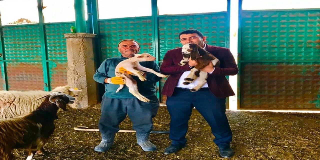 Yalıhüyük Kaymakamı Kılınç Çobanları Ziyaret Etti