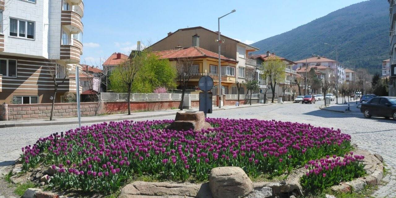 Akşehir lalelerle renklendi