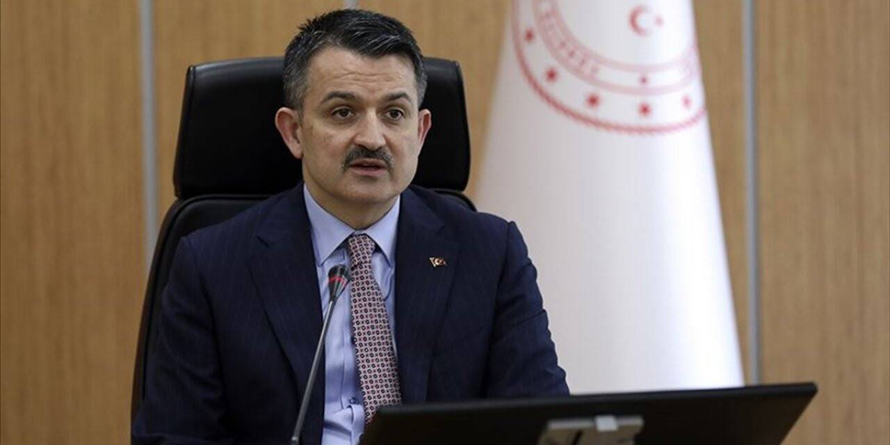 Tarım Ve Orman Bakanı Pakdemirli: Tarım Ve Hayvancılık Faaliyetlerinde Bulunanlar Sokağa Çıkma Yasağından Muaf Tutulacak