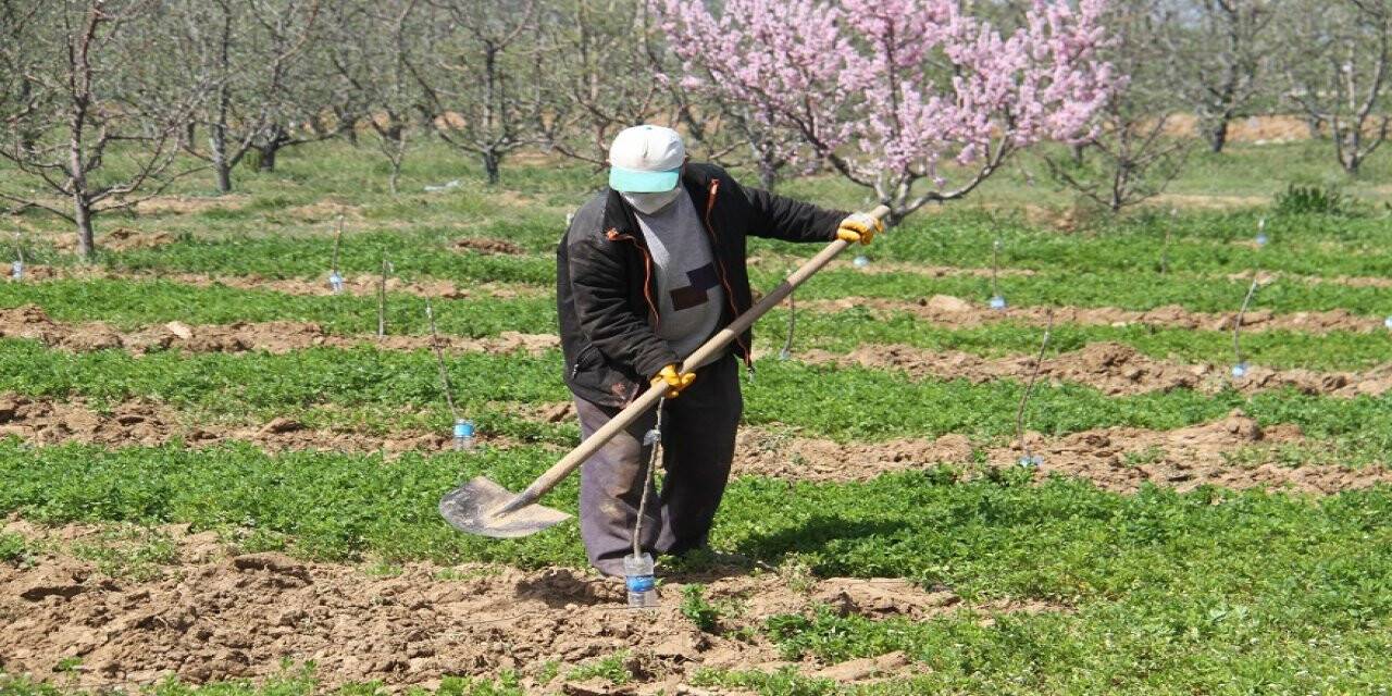 Beyşehir'de Sokağa Çıkma Yasağından Muaf Olan Çiftçiler Mesaide