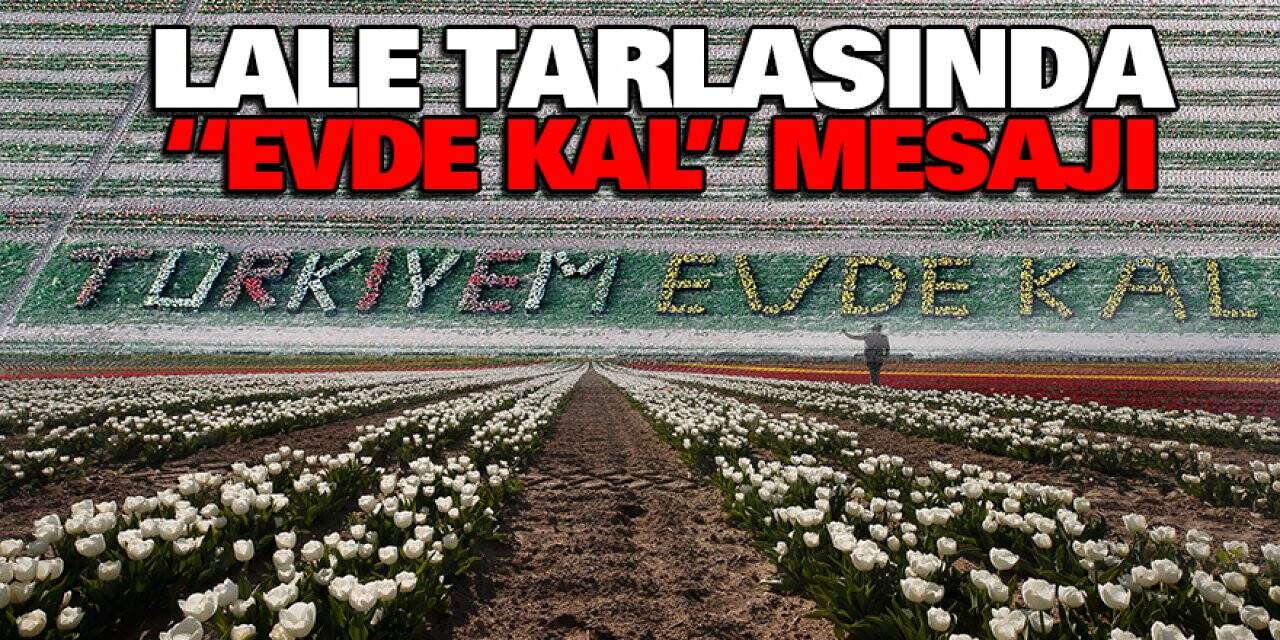 Lale Tarlasında "Evde Kal" Mesajı