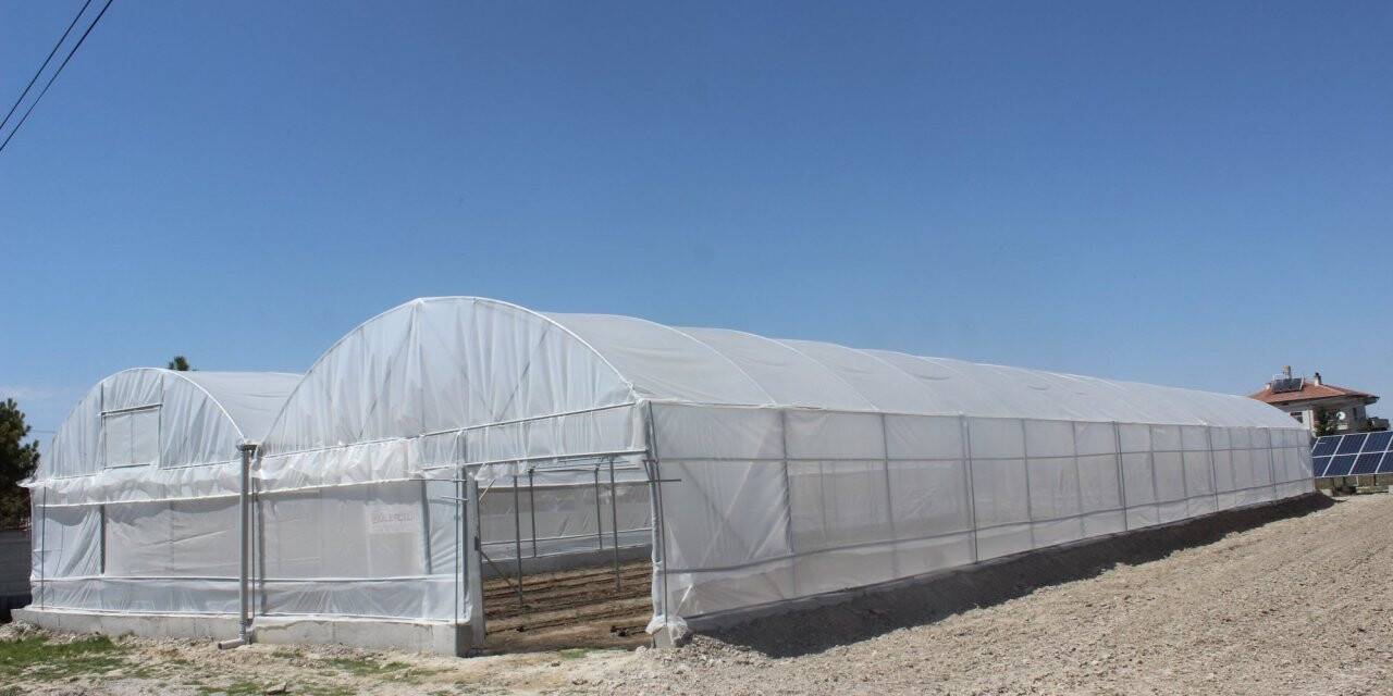 Konya'da Alternatif Ürünlere Yönelik Çalışmalar Sürüyor