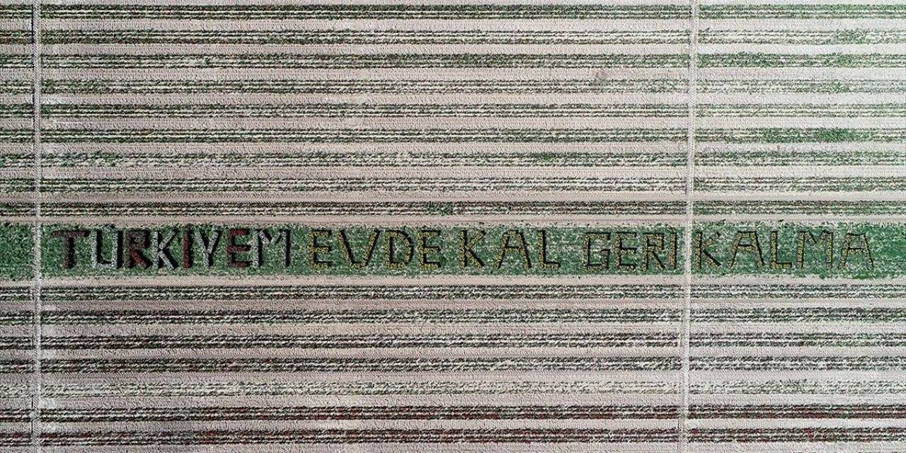 Gökkuşağını Andıran Lale Tarlasında 'evde Kal' Mesajı