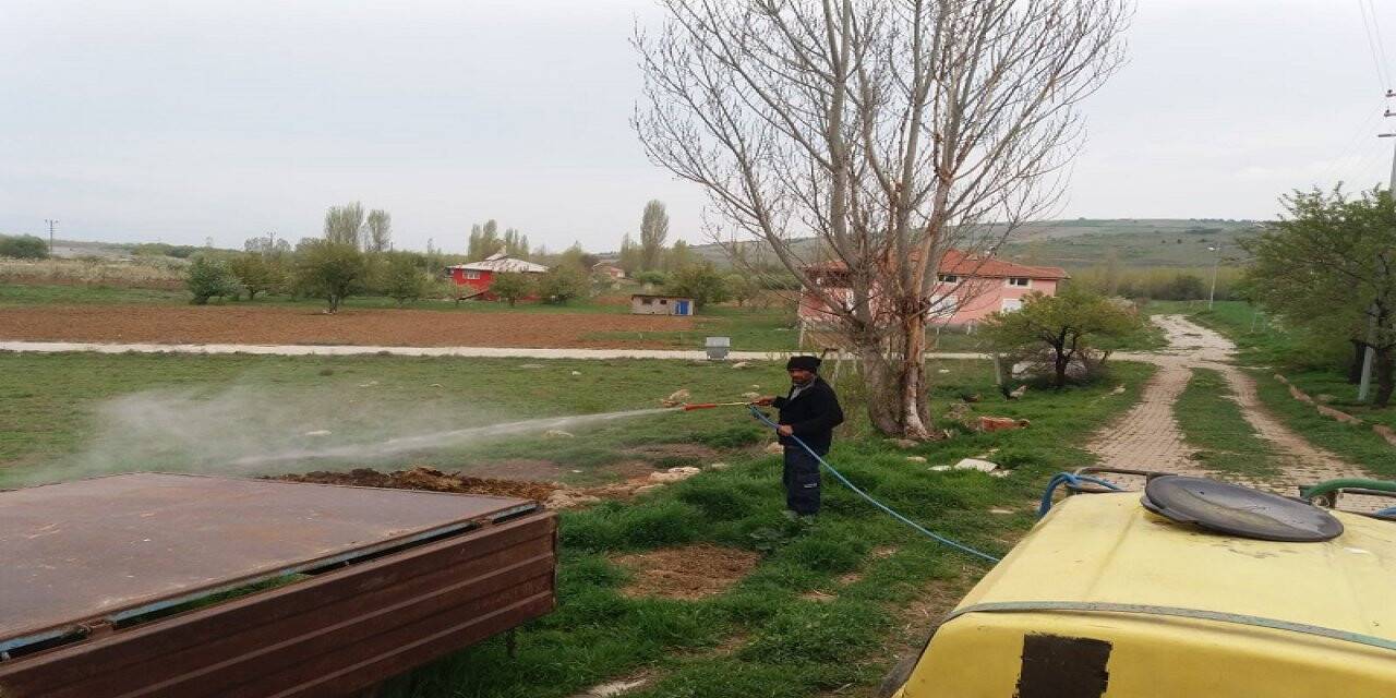 Yalıhüyük Belediyesi Larva İlaçlaması Yaptı
