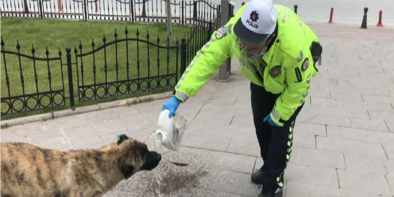 Trafik polisinden yürek ısıtan görüntü