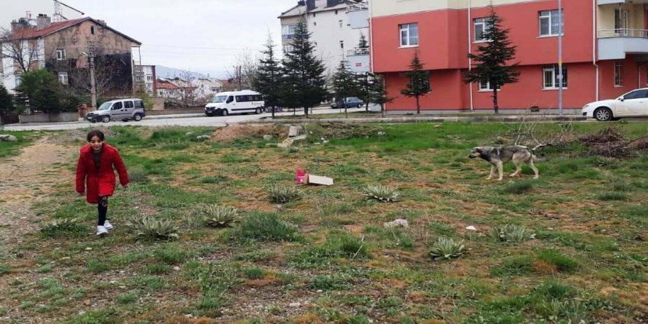 İlkokul Öğrencisi Harçlıklarıyla Sokak Hayvanlarına Yiyecek Aldı