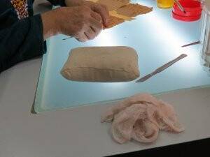 Elyazması Kütüphaneleri arasında işbirliği