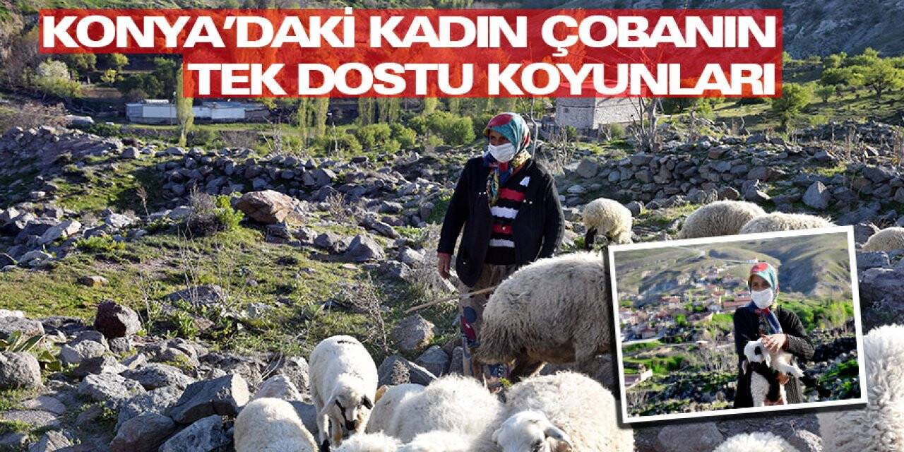 Konya'daki  kadın çobanının tek dostu koyunları