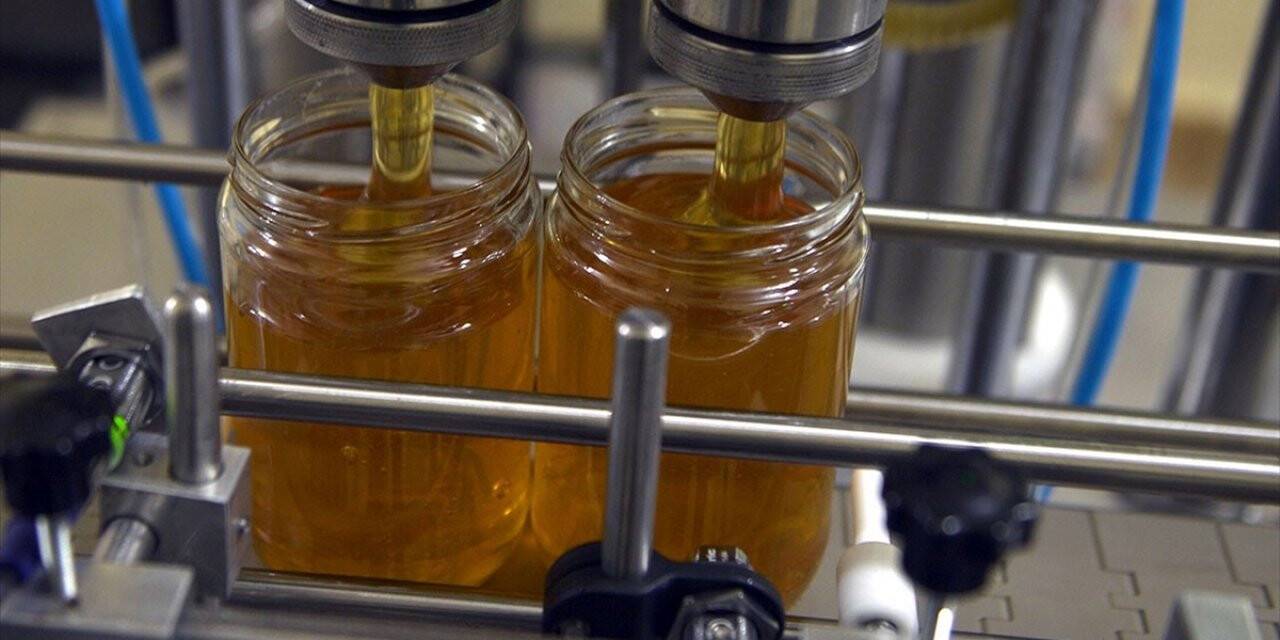 Bal kestaneden mi, kekikten mi bilinecek