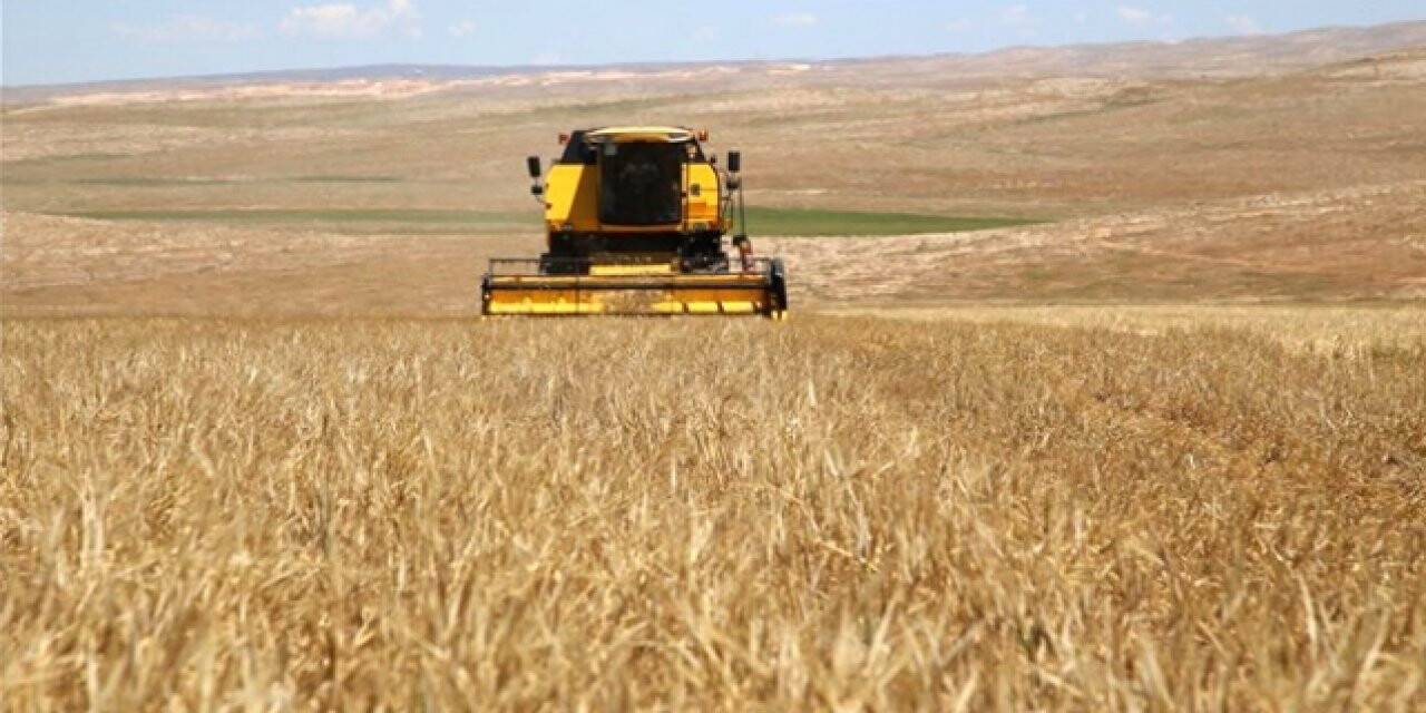 Bakan Albayrak'tan Çiftçilere Müjde: Krediler 6 ay erteleniyor